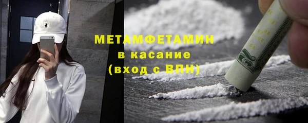 прущие грибы Волосово