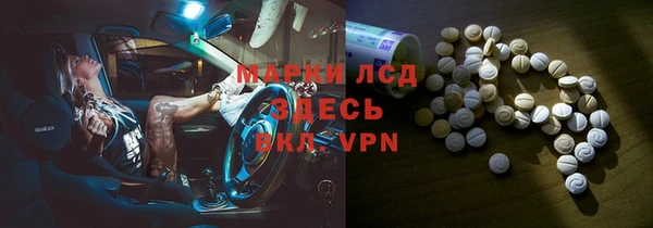 прущие грибы Волосово