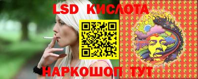 spice Моздок