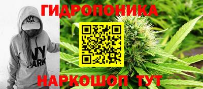 spice Моздок