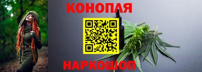 spice Моздок