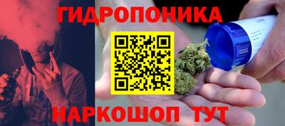 spice Моздок