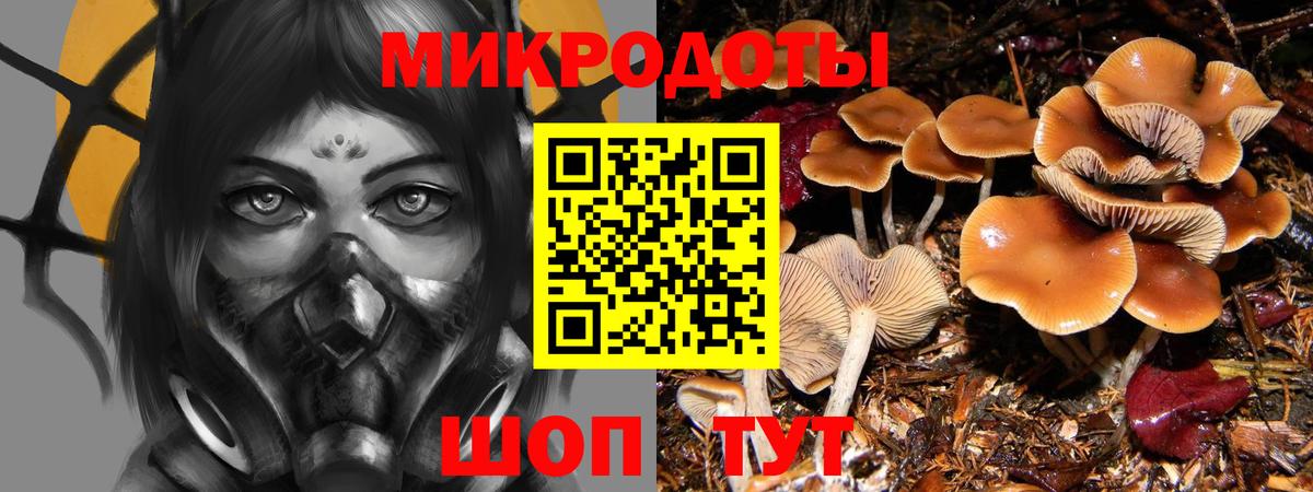 Галлюциногенные грибы GOLDEN TEACHER  Вход с VPN  Псилоцибиновые грибы MAGIC MUSHROOMS  Геленджик 