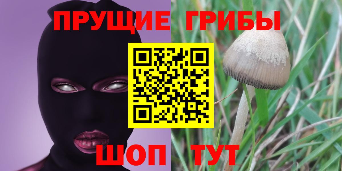 Галлюциногенные грибы прущие грибы Геленджик
